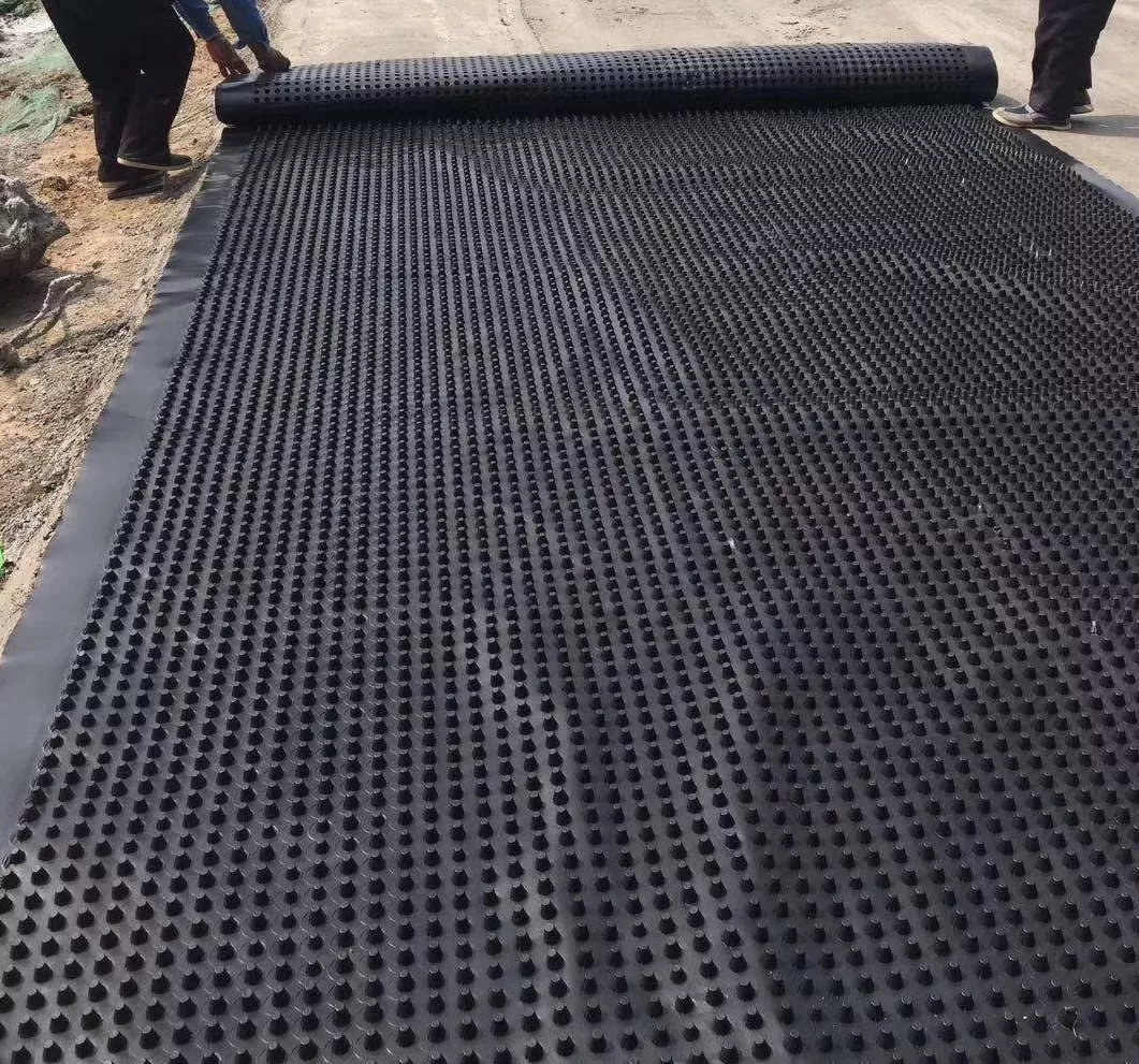 塑料排水板