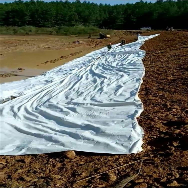 西北河道治理土工布采购供应厂家怎么选？这份实用指南帮你避开所有坑