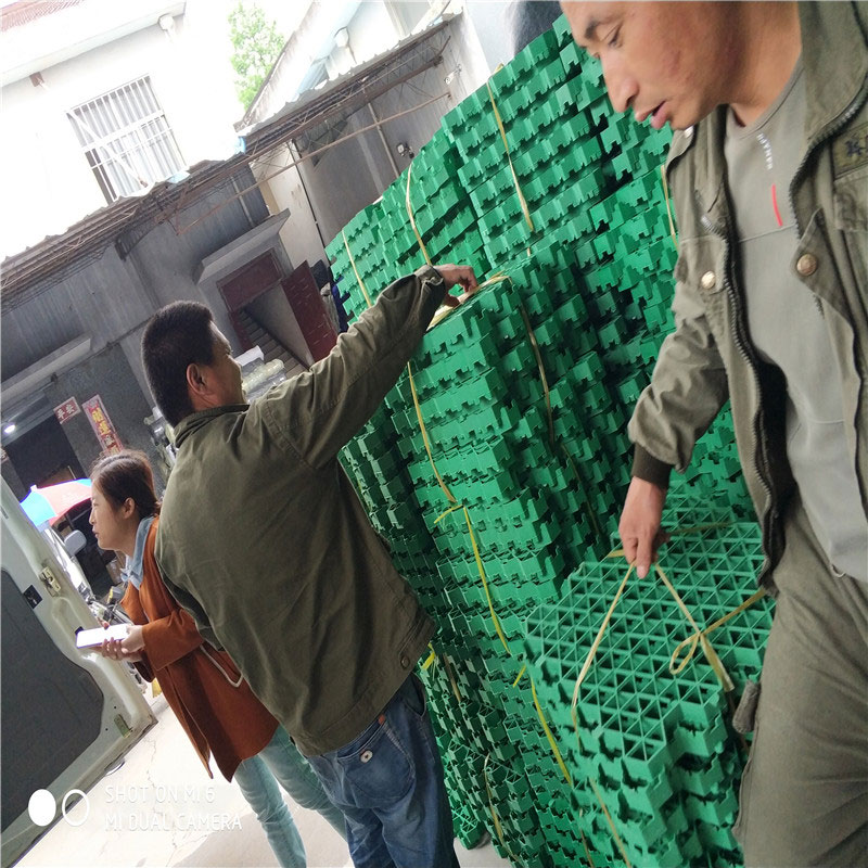 植草格生产厂家批发价格多少钱？教你找对源头厂家，省下冤枉钱