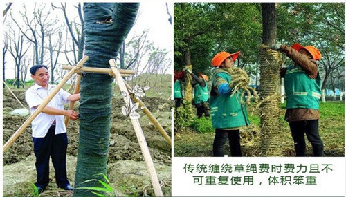 西南地区生态袋生产厂家怎么选？这篇干货让你少走弯路，选对厂家省钱又省心